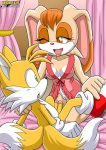 1boy 1girl anthro bbmbbf furry miles_&quot;tails&quot;_prower mobius_unleashed palcomix sega sonic_(series) sonic_team sonic_the_hedgehog_(series) vanilla_the_rabbit