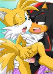  anthro bbmbbf furry miles_&quot;tails&quot;_prower millie_tailsko mobius_unleashed palcomix sega shadow_the_hedgehog sonic_(series) sonic_team sonic_the_hedgehog_(series) 