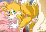  anthro bbmbbf furry miles_&quot;tails&quot;_prower millie_tailsko mobius_unleashed palcomix sega sonic_(series) sonic_team sonic_the_hedgehog_(series) 
