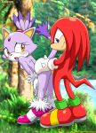  anthro bbmbbf blaze_the_cat furry knuckles_the_echidna mobius_unleashed palcomix sega sonic_(series) sonic_team sonic_the_hedgehog_(series) 