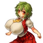  1girl before_and_after breasts female green_hair huge_breasts kazami_yuuka looking_at_viewer plaid plaid_vest red_eyes sachito skirt solo touhou vest 
