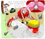  2012 amy_rose angry ass boots breasts butt clothing english_text female furry gblastman green_eyes hair open_mouth pussy sega solo sonic_(series) text underwear 