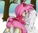  2012 amy_rose anthro anus ass breasts butt clothing female green_eyes hair hedgehog nipples outside pink_hair pussy sega smile snow solo sonic_(series) sonic_the_hedgehog sonic_the_hedgehog_(series) the_other_half tree 