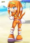  anus bbmbbf beach blush mobius_unleashed nipple palcomix panties pussy sega sideboob sonic_(series) sonic_the_hedgehog_(series) tikal_the_echidna tongue tongue_out 