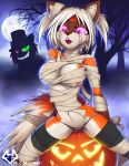  ambiguous_gender anthro bandage canine cute female fox furry halloween holidays macmegagerc panties underwear 