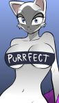 big_breasts blue_eyes breasts feline female hayakain huge_breasts humor kitty_(hayakain) pun ryugou_(webcomic) solo webcomic
