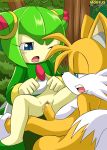 1boy 1girl bbmbbf cosmo_the_seedrian miles_&quot;tails&quot;_prower mobius_unleashed palcomix sega sonic_(series) sonic_the_hedgehog_(series) sonic_x tagme