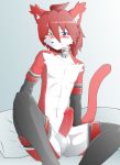  abs bed blush cat cute erection feline furry girly heterochromia leather looking_at_viewer male midriff penis pillow pinup red_hair redwolfxlll solo spread_legs spreading stockings xennie 