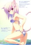  animal_ears animal_tail bikini cat_ears cat_tail erect_nipples fujisaki_rei swimsuit tail wet 