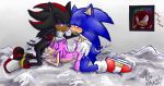  amy_rose cute furry knuckles_the_echidna shadow_the_hedgehog sonic_team sonic_the_hedgehog 