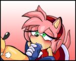  amy_rose cute furry sonic_the_hedgehog tagme 