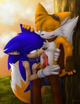  cute furry gay miles_&quot;tails&quot;_prower multiple_tails mylafox sonic_team sonic_the_hedgehog tail 