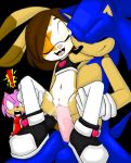 amy_rose character_request cute furry reverse_suspended_congress sega sonic_the_hedgehog sonic_the_hedgehog_(series) vaginal