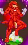  furry gay knuckles_the_echidna muscle nipples pecs solo sonic text yaoi 