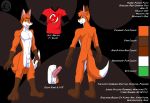  fox furry gay male reference_sheet solo 