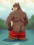  bear furry male partially_clothed sauna solo 
