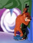  bandicoot crash_bandicoot erection furry gay male partially_clothed shoes solo 