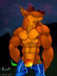  bandicoot furry gay male partially_clothed solo thong 