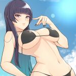  1girl 1girl alluring bare_stomach big_breasts big_breasts bikini bikini_bottom bikini_top black_hair cleavage cloud clouds color dark_hair dead_or_alive dead_or_alive_6 dead_or_alive_xtreme dead_or_alive_xtreme_2 dead_or_alive_xtreme_3 dead_or_alive_xtreme_3_fortune dead_or_alive_xtreme_beach_volleyball dead_or_alive_xtreme_venus_vacation fit_female high_res konishiki_(52siki) lens_flare light-skinned_female lips long_hair looking_at_viewer navel nyotengu outdoor outside outside pose posing purple_eyes shonishiki sky swimsuit tecmo waist_up 