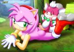  1girl amy_rose ass bbmbbf blush breasts chip_(sonic) furry interspecies light_gaia mobius_unleashed nude palcomix penis sega sonic_(series) sonic_the_hedgehog_(series) 