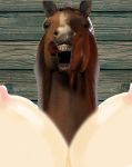  beastiality horse licking_lips mister_ed tagme 