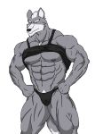 abs beard biceps bulge canine chest_hair clothing eyebrows facial_hair fist hair happy looking_at_viewer male mohawk muscles navel nintendo nipples one_eye_closed pecs pubic_hair shirt smile solo speedo standing star_fox transparent_background underwear video_games wink wolf wolf_o&#039;donnell wolfoxokamichan