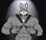  collar harness male no_sex solo wolf wolf_o&#039;donnell 