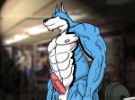  abs doggie_kruger gym male muscle pecs solo 