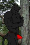  male no_sex panther partially_clothed solo 