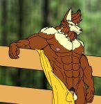  erection male partially_clothed solo wolf 