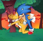  anal anal_penetration anthro blue_eyes blue_hair blush canine closed_eyes cum cum_in_ass cum_inside cumshot erection forest fox gay hair heart hedgehog male miles_&quot;tails&quot;_prower miles_prower one_eye_closed orange_hair orgasm outside penetration penis sega sex silly_(artist) sonic_(series) sonic_the_hedgehog testicles tree 