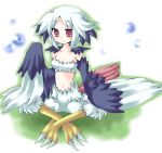  1girl claws female happy harpy monster_girl solo wings 