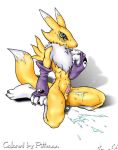 1_anthro 1_male 1_male_anthro 1boy 3_fingers 3_toes anthro anthro_canine anthro_fox arm_warmers blue_eyes blush canine cum detached_sleeves digimon erection fox fur furry looking_at_viewer male male_anthro male_anthro_fox male_renamon mostly_nude penis renamon sheath sitting slit_pupils smile solo tail testicles toei_animation white_fur yellow_fur yin_yang 