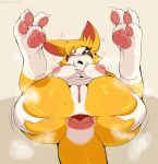  &lt;3 1girl 1girl 3_toes anthro anus ass bat big_ass big_breasts blush bodily_fluids breasts dust:_an_elysian_tail feet fidget_(elysian_tail) gaping gaping_anus genitals jinu looking_at_viewer mammal nimbat nipples one_eye_closed pawpads paws presenting pussy soles spread_anus spread_butt spreading sweat toes 