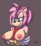  amy_rose breasts female furry green_eyes hedgehog nipples pink_hair sega solo sonic_(series) 