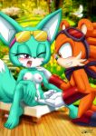  archie_comics bbmbbf mobius_unleashed palcomix sega sonar_the_fennec sonic_(series) sonic_the_hedgehog_(series) spike_the_porcupine 
