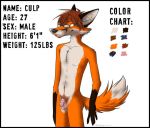 fox furry glasses male pubic_hair reference_sheet skinny solo 