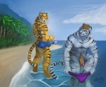  beach erection furry male ocean swim_trunks tiger water 