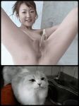  animated cat censored feline female photograph water 