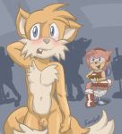  amy_rose miles_&quot;tails&quot;_prower sambot sonic tagme 