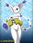  1girl anthro breasts cat cute digimon feline furry gatomon gloves nude pussy tail_ring yiffmasters 