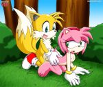  amy_rose miles_&quot;tails&quot;_prower multiple_tails palcomix tagme tail 