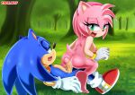 1boy 1girl amy_rose bbmbbf mobius_unleashed palcomix sega sonic_the_hedgehog sonic_the_hedgehog_(series) tagme toon.wtf