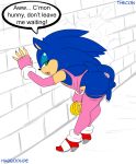  anthro anus ass blue_hair crossdressing english_text erection girly green_eyes habbodude hair hedgehog looking_back male penis presenting presenting_hindquarters sega skimpy sonic_(series) sonic_the_hedgehog testicles text thecon 