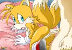  1boy 1girl anal anthro anus ass_juice bbmbbf breasts canine crossgender cum doggy_position female fox furry genderswap hetero human_on_anthro looking_back male miles_&quot;tails&quot;_prower millie_tailsko mobius_unleashed palcomix penis pussy rule_63 sega sonic_(series) sonic_the_hedgehog_(series) tail 