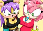 amy_rose cleavage furry mina_mongoose sega sonic_*(series) sonic_the_hedgehog_(series) the_other_half