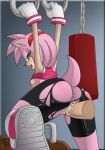  amy_rose ass gym sega sonic_(series) sonic_team sonic_the_hedgehog_(series) the_other_half torn_clothes 