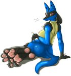 anthro biped black_fur blue_body blue_fur breasts canid canine chest_spike cream_fur creatures_(company) dog_ears dog_tail english_text female fighting_type_pokemon game_freak gen_4_pokemon highres hindpaw lucario nintendo pawpads paws plain_background pokemon pokemon_(anime) pokemon_(creature) pokemon_(game) pokemon_(species) pokemon_diamond_pearl_&amp;_platinum pokemon_dppt pokemon_heartgold_and_soulsilver pokemon_hgss pokemorph porkyman red_eyes sharp_teeth snout solo spikes steel_type_pokemon text ticklishways toes video_games white_background zp92
