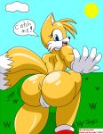  adc1309 ass blue_eyes butt canine crossgender cute female female_only fox furry genderswap gloves grass jmynstyx looking_at_viewer miles_&quot;tails&quot;_prower millie_tailsko multiple_tails outside pussy sega solo solo_female sonic sonic_(series) sun tail text 
