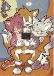  amy_rose blaze_the_cat cute daigaijin furry miles_&quot;tails&quot;_prower multiple_tails sonic_team sonic_the_hedgehog tail 